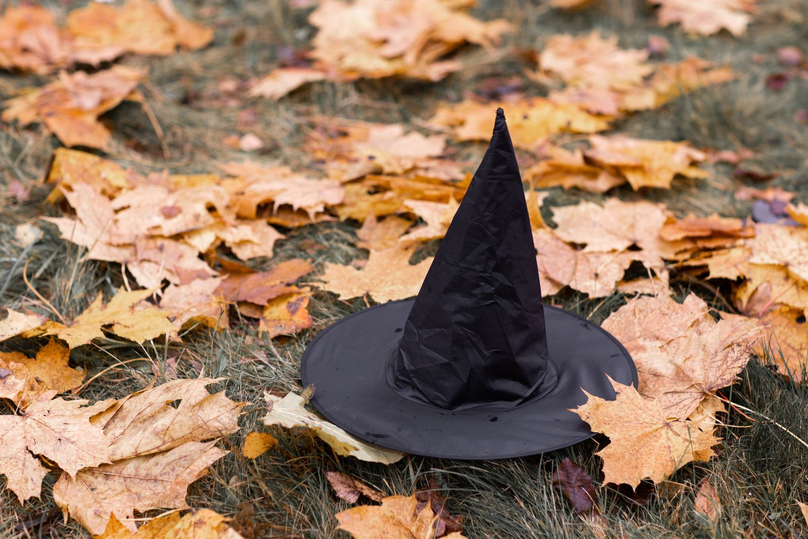 Ce pot face companiile de Halloween? Specialiștii Ecoxtrem răspund